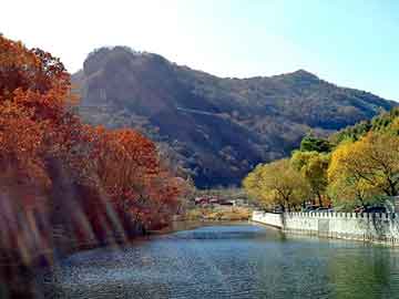 澳门二四六天天彩图库，四丁基硫酸氢铵